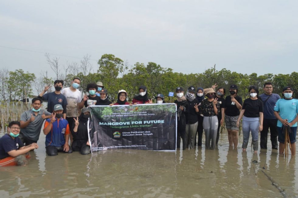 UNDIP FISIP Student Executive Board Initiates ‘Mangrove For Future’ Event