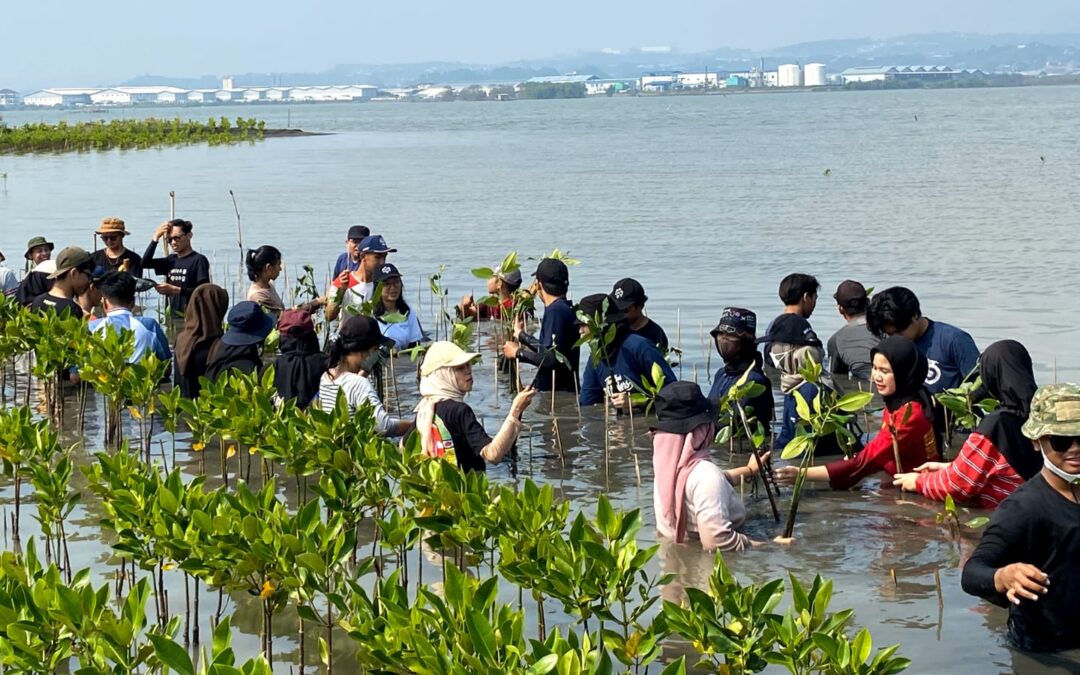 Growing Concern for the Natural Environment Through “Mangroves for Future 2022”