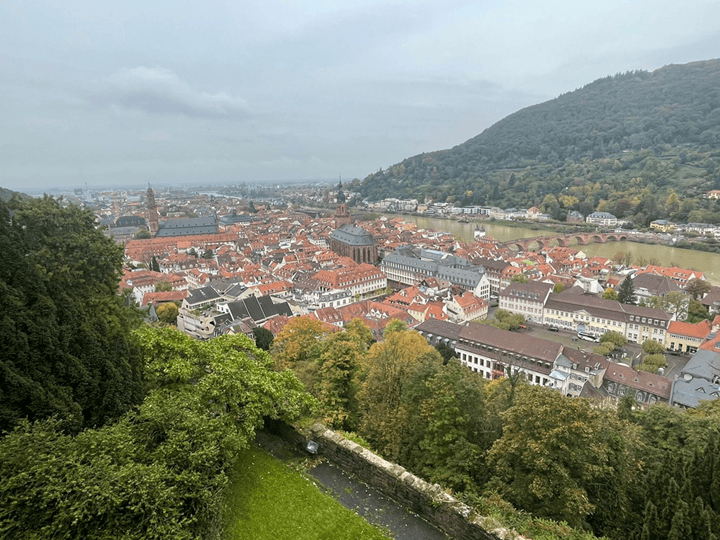 Three Primary Reasons for Heidelberg to be Semarang’s Sister City: Insights from a Brief Visit by the Faculty of Social and Political Sciences, Universitas Diponegoro to Heidelberg, Germany