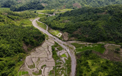 Prinsip Pemerintahan Deliberatif dalam Pengelolaan Kawasan Hutan: Studi Kasus Hutan Wanadipa Universitas Diponegoro