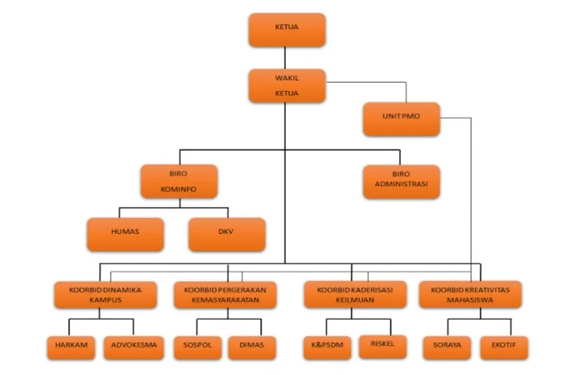 Struktur Badan Eksekutif Mahasiswa