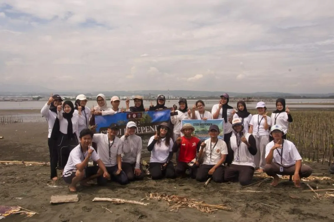 Mahasiswa Administrasi Publik UNDIP Laksanakan Studi Independen melalui Aksi Tanam Mangrove dan Bersih Pantai di Desa Mangunharjo