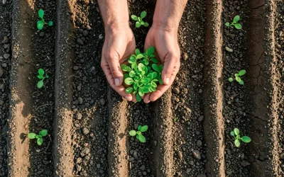 BizFlare FISIP UNDIP Collaborates with Sekipan Village Farmer Group: Agribusiness Transformation Based on SDG 8